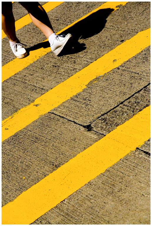 Yellow Zebra.jpg
